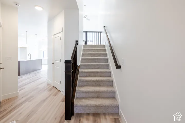 Light wood-finish flooring extending into the kitchen, carpeted staircase with dark wood newel post and handrail, and white interior doors