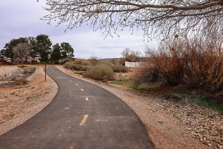 Paved pathway with central yellow markings, framed by natural vegetation and mature trees