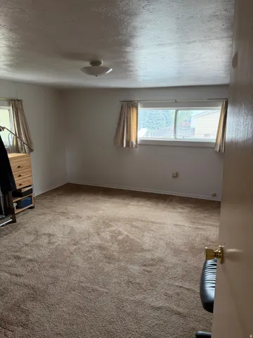 Spacious room with plush brown carpet flooring, two windows providing natural light, and a ceiling-mounted light fixture