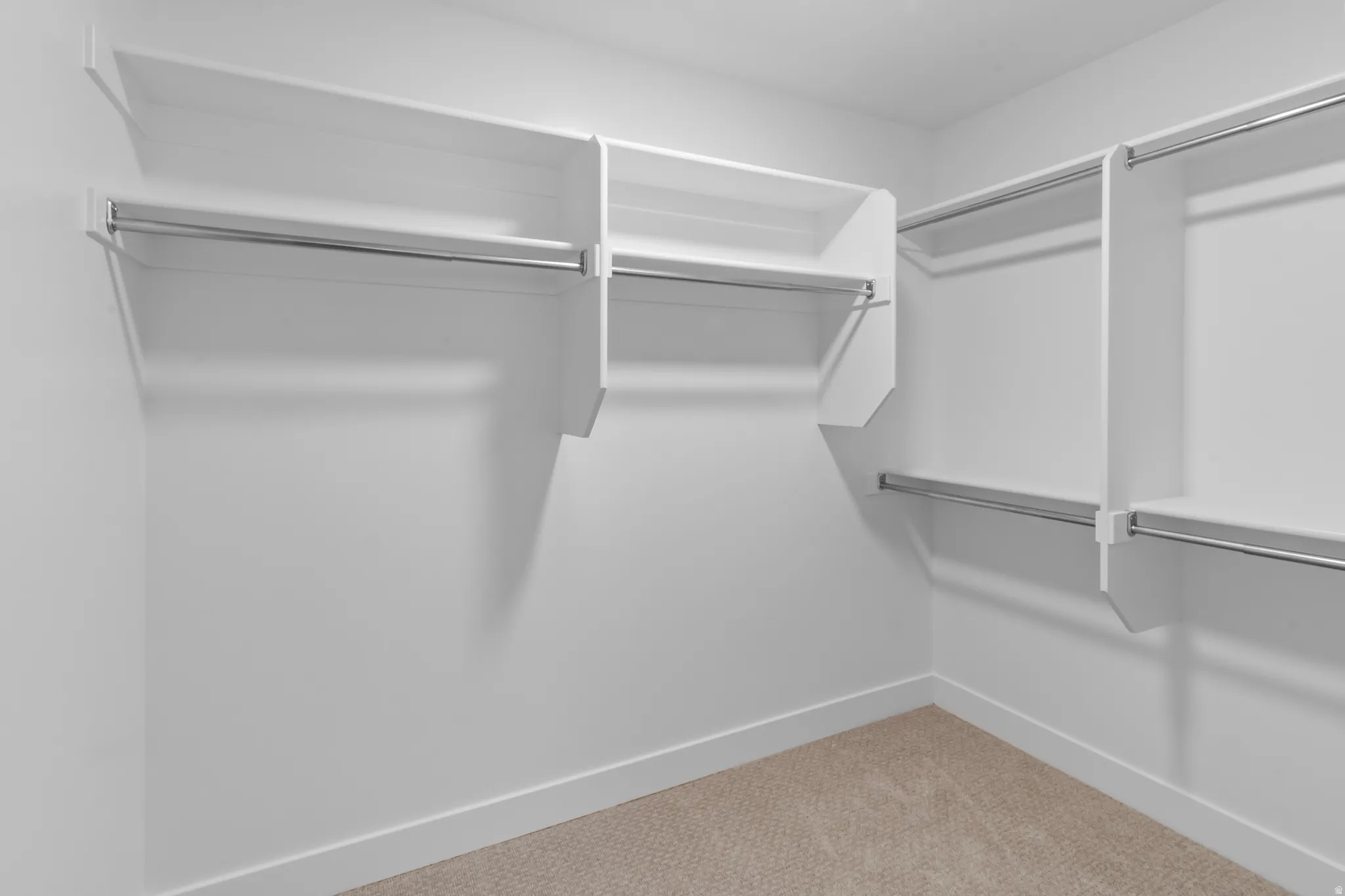 Walk-in closet featuring white built-in shelving, chrome hanging rods, white baseboards, and neutral carpet flooring