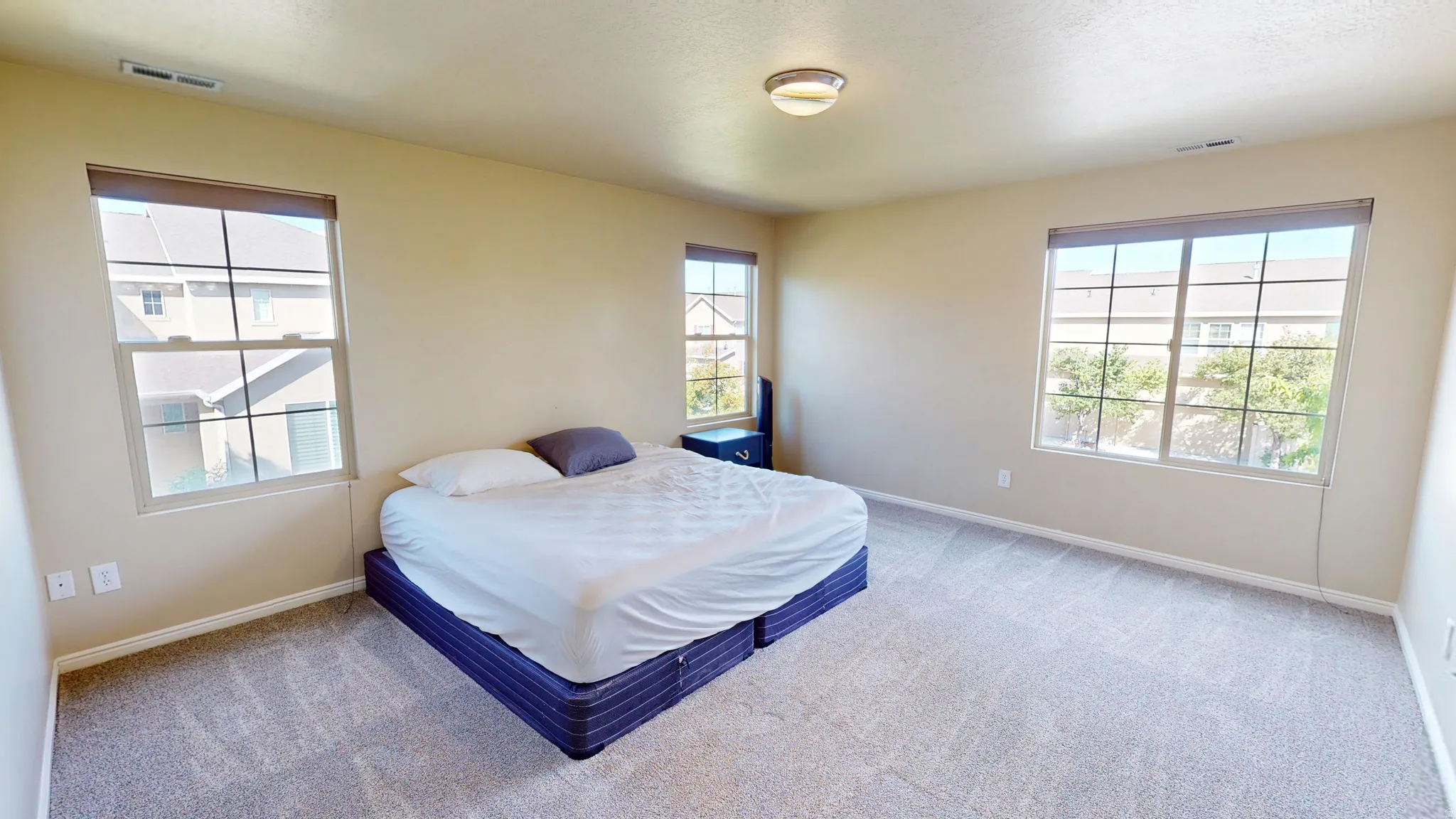 Carpeted bedroom featuring multiple large windows with blinds, a ceiling-mounted light fixture, and neutral-toned walls