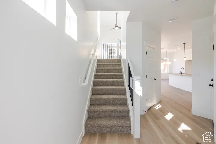 Staircase featuring carpeted steps, a white handrail, and a black-and-white baluster railing, complemented by wood-finish flooring and high-reaching ceilings