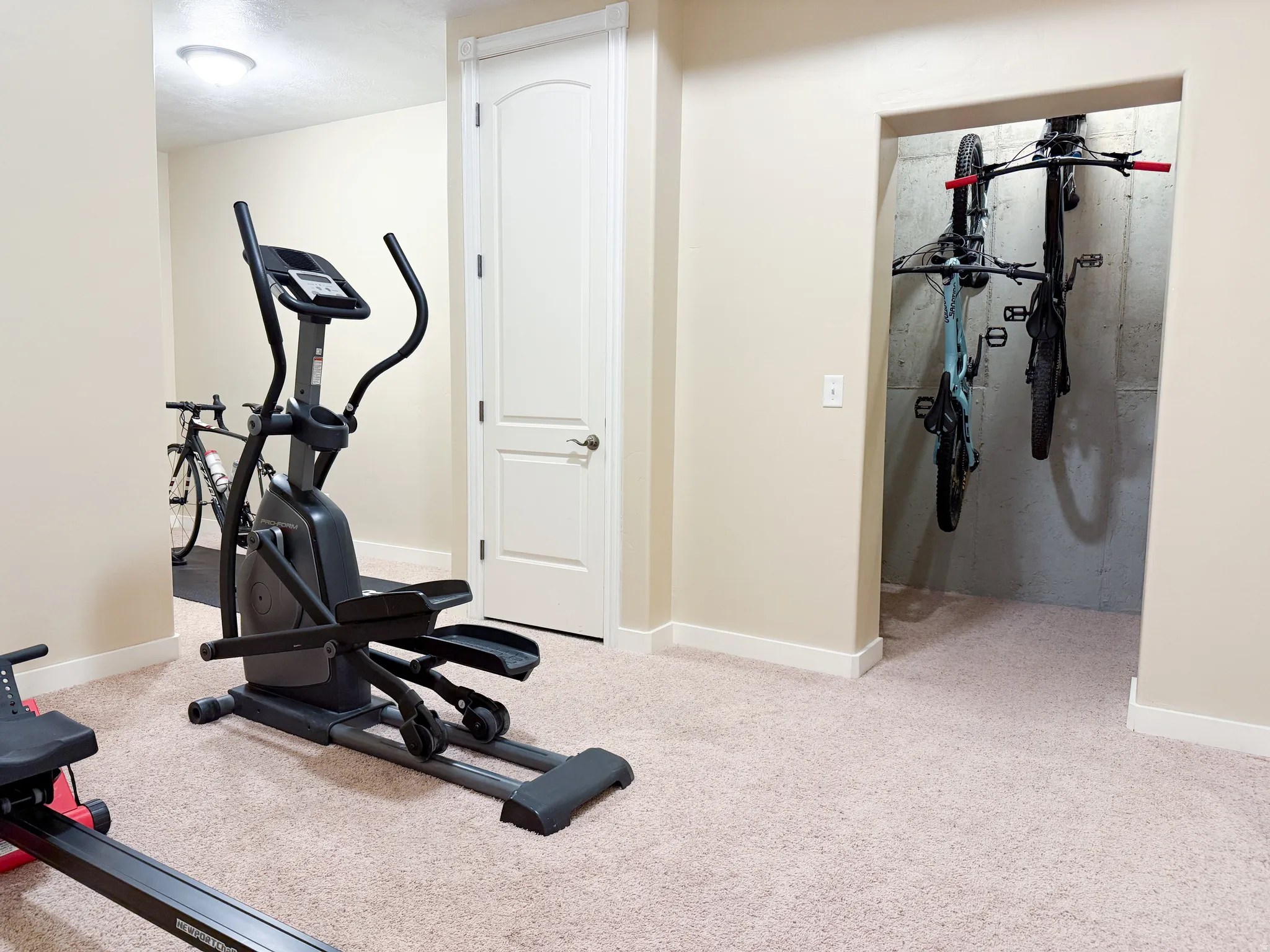 Carpeted room with a built-in storage alcove and a white interior door