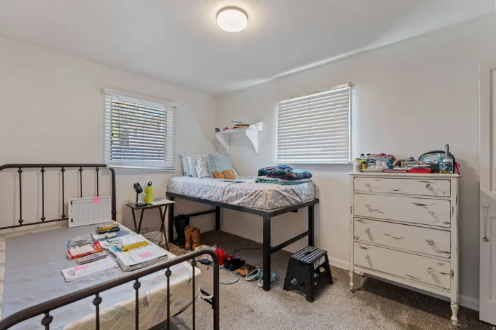Carpeted room with white walls, featuring two windows with horizontal blinds and a flush mount ceiling light