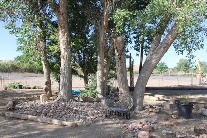 Mature trees providing natural shade