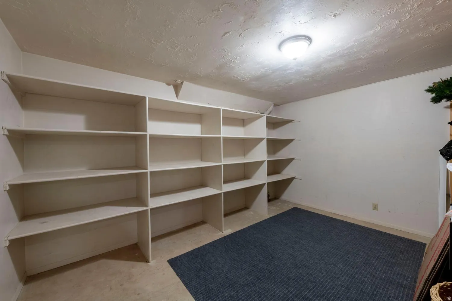 Room featuring extensive built-in shelving, a flush-mount ceiling light fixture, neutral wall finishes, and a partial area rug