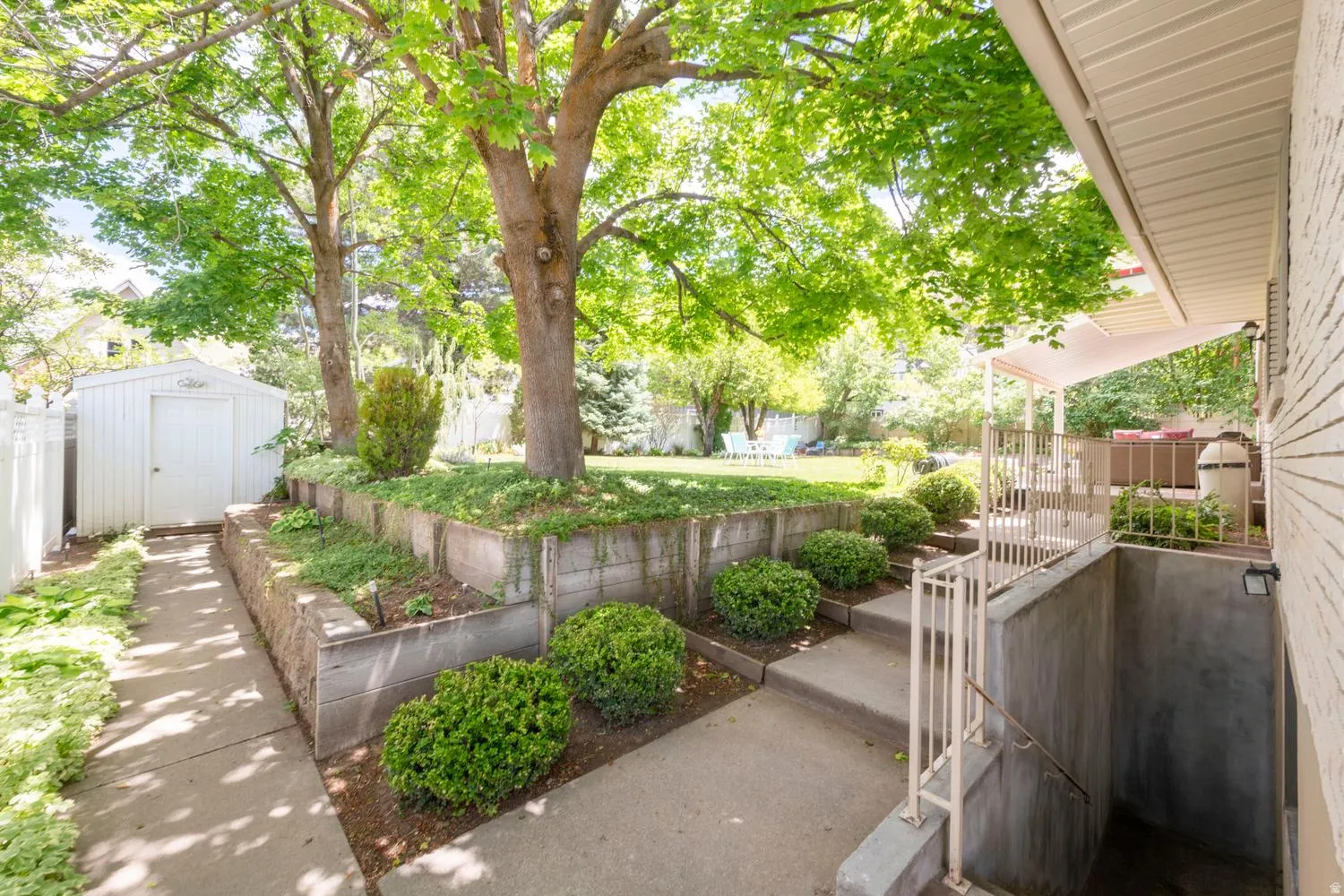 Expansive backyard featuring a manicured lawn, mature trees, and a white storage shed