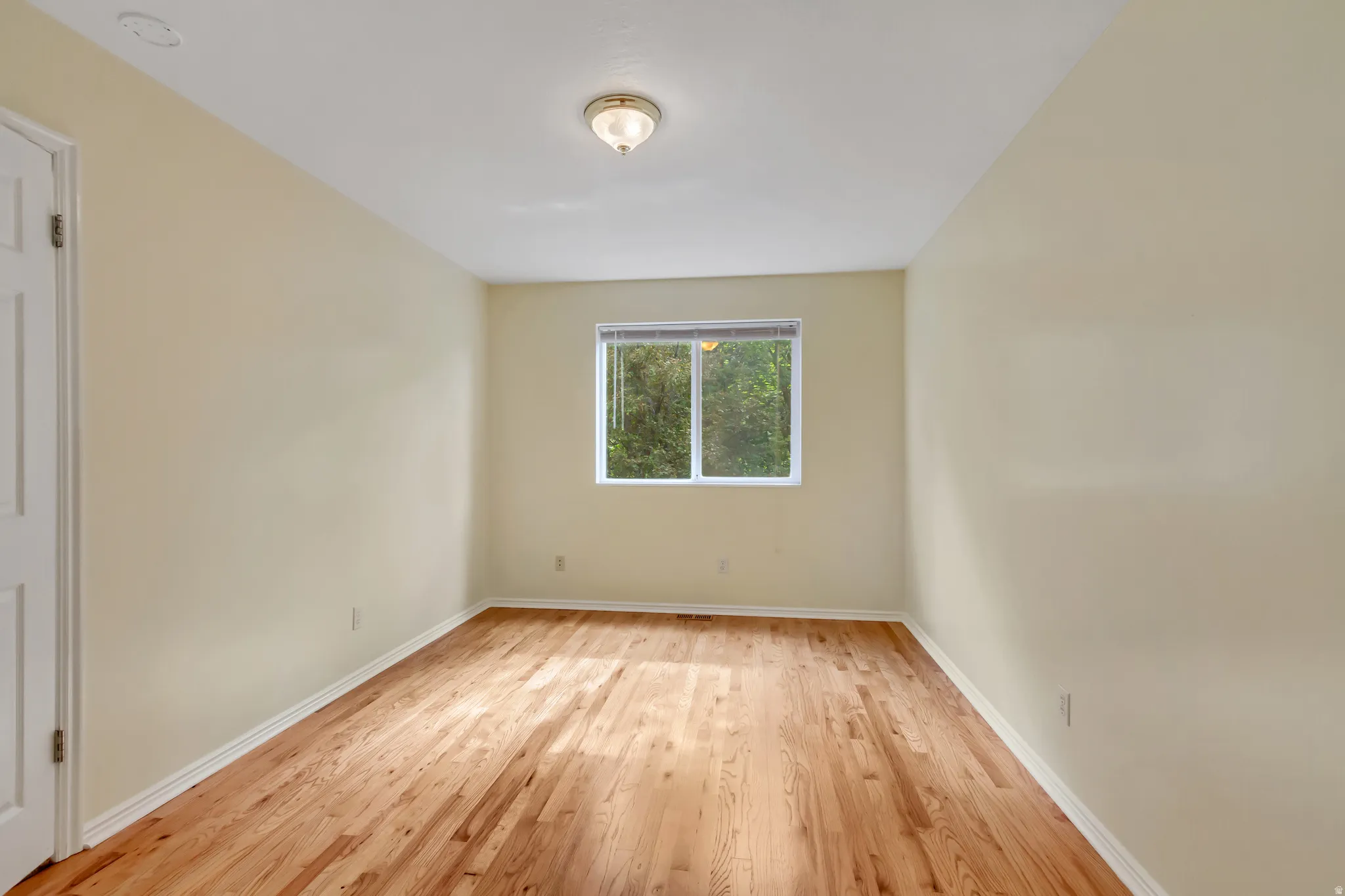 Interior room featuring wood-finish flooring, light-colored walls, white trim, a single window, and a ceiling-mounted light fixture