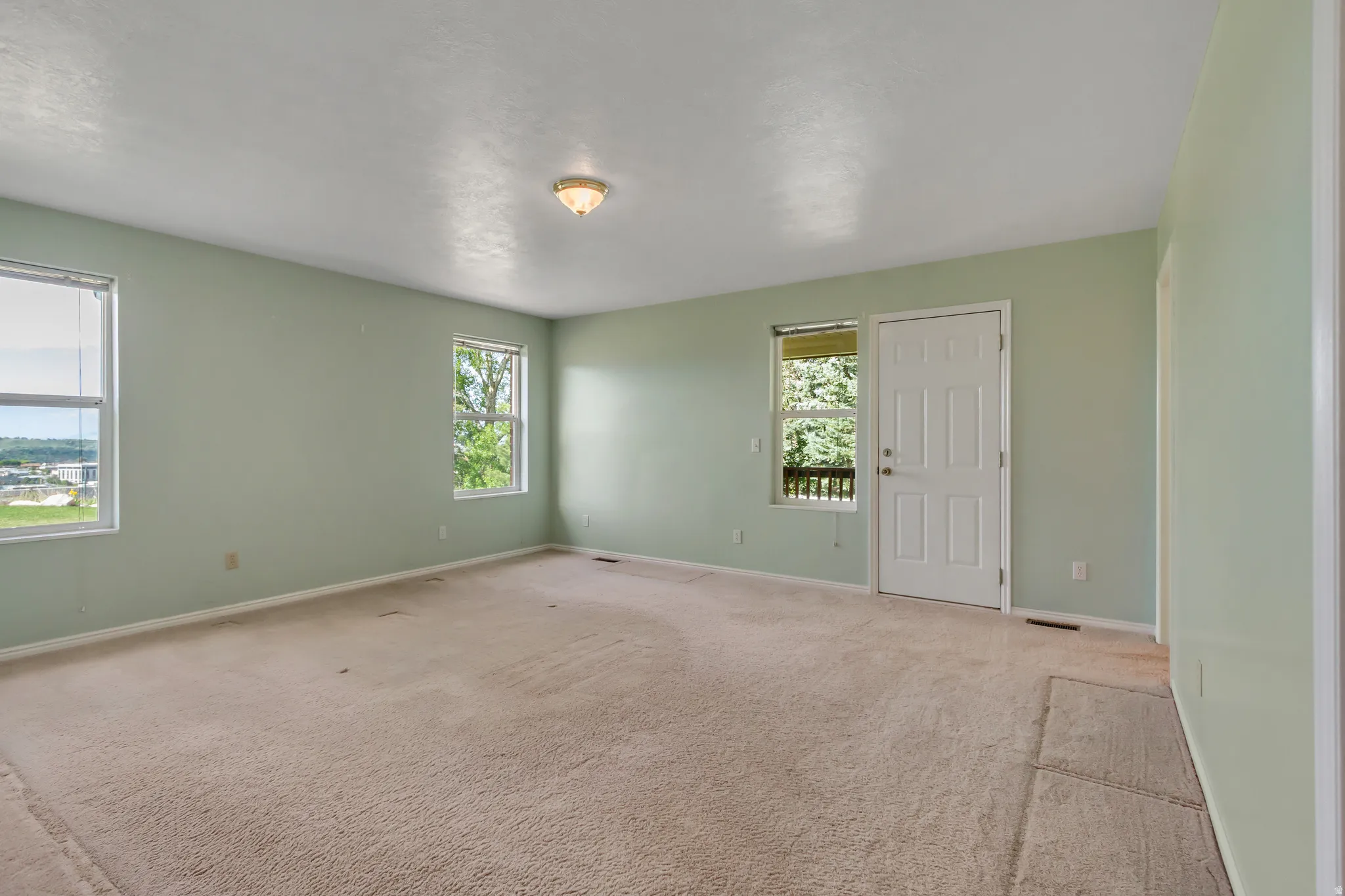 Spacious room with light green walls, two windows, carpet flooring, a ceiling-mounted light fixture, and a paneled door