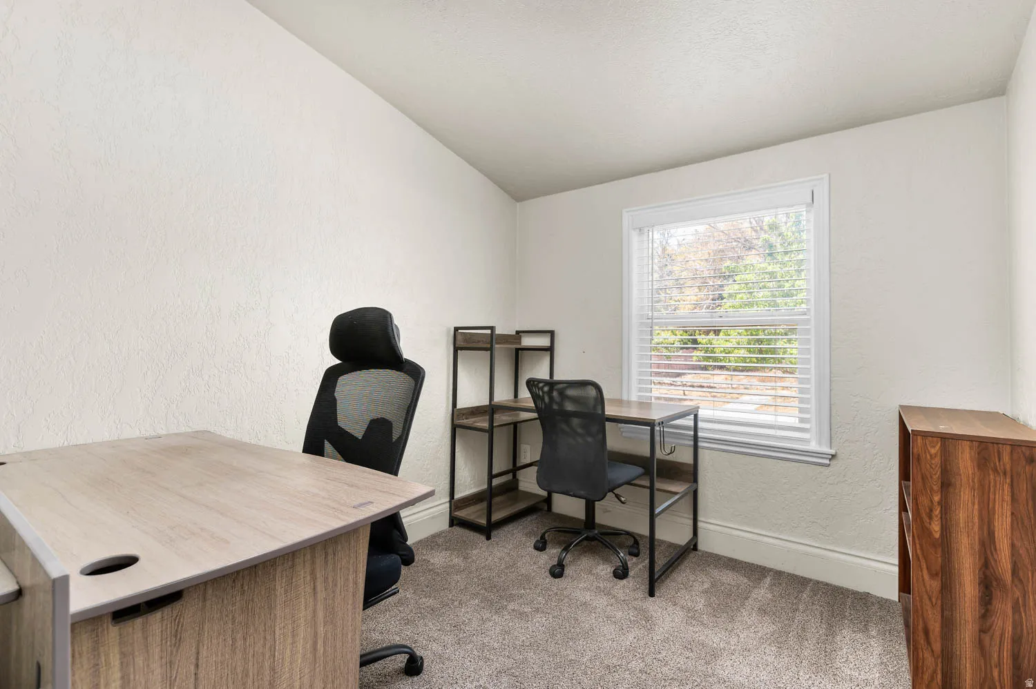 Carpeted room with a single window featuring white blinds and trim