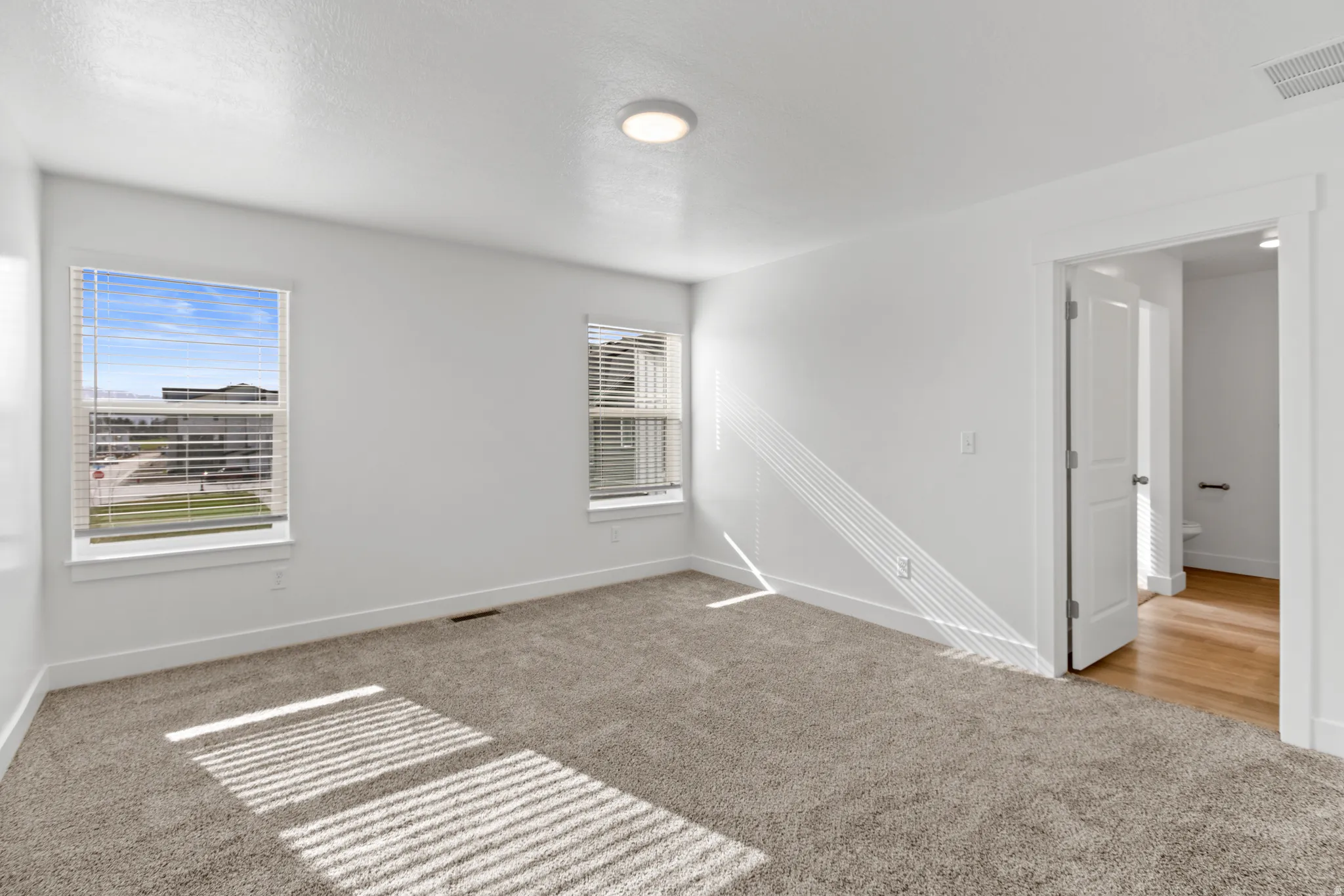 Carpeted room featuring dual windows with blinds, a flush mount ceiling light, and white trim