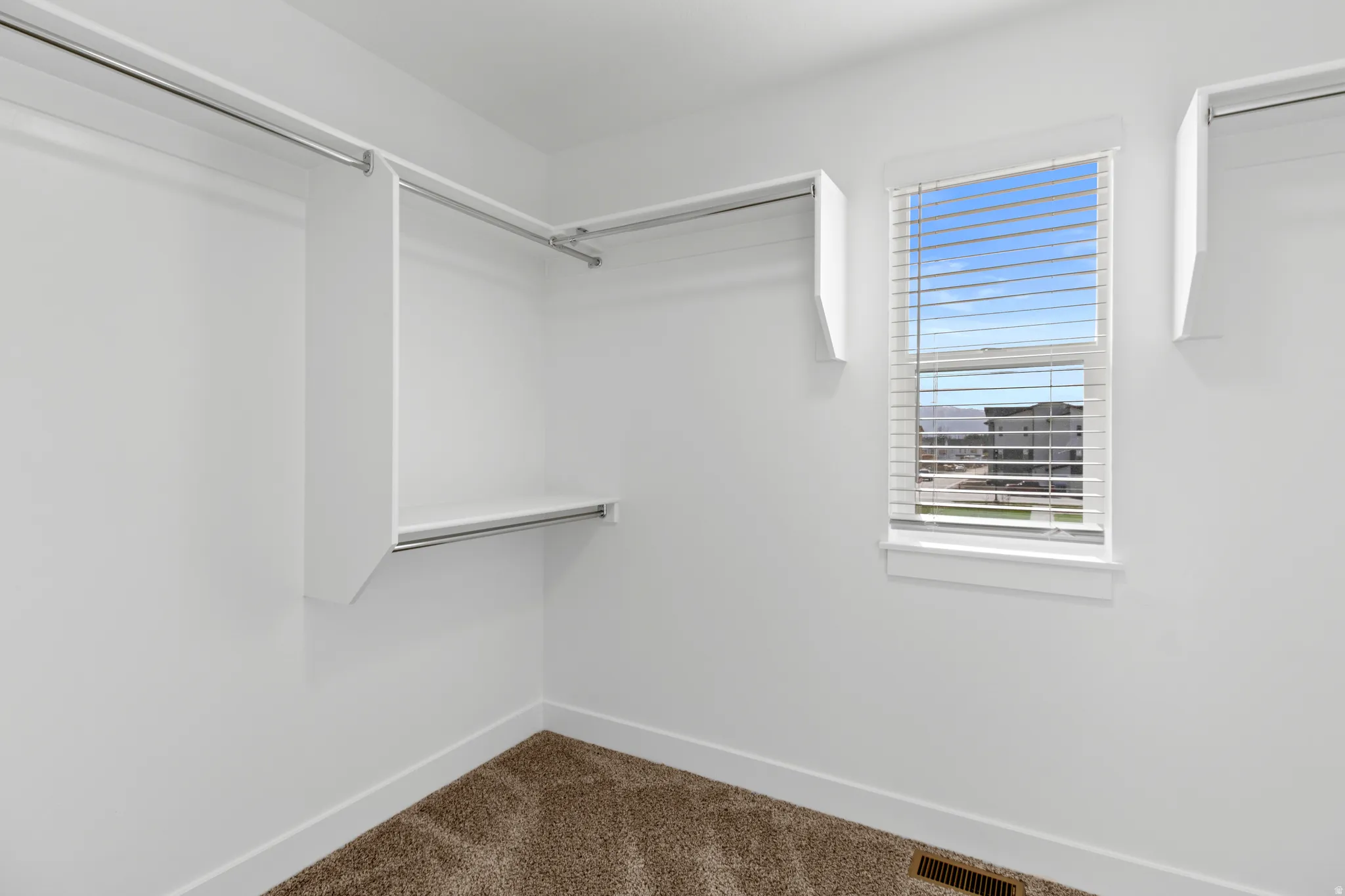 Walk-in closet featuring white built-in shelving, chrome hanging rods, a window with horizontal blinds, a floor vent, and carpet flooring