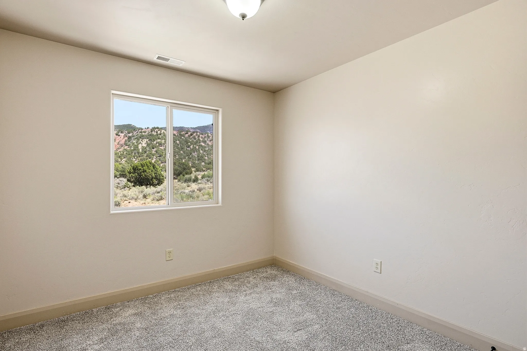 Interior room featuring a window with a natural landscape, neutral wall tones, textured gray carpeting, and a ceiling-mounted light fixture