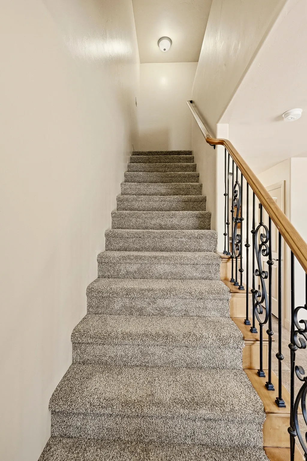 Carpeted staircase with an ornamental wrought iron and wood handrail