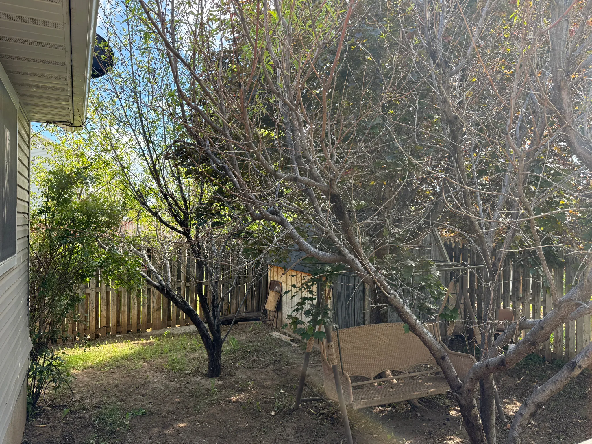 Private backyard featuring a wooden privacy fence, mature trees, and a storage shed