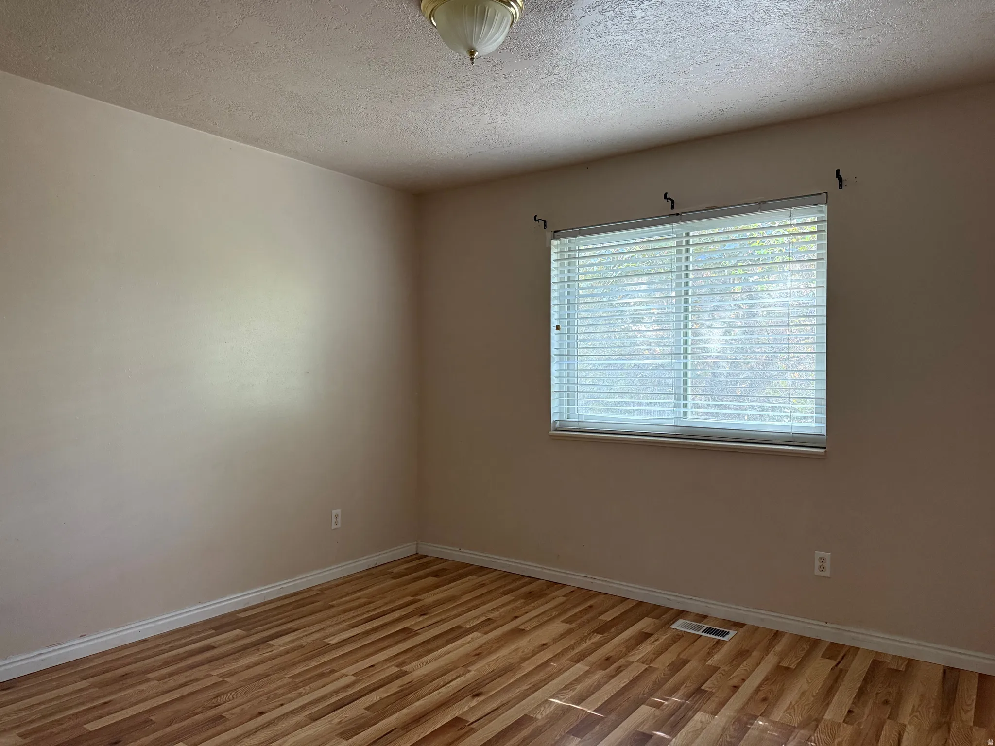 Room featuring wood-finish flooring, a window with horizontal blinds, and a flush mount ceiling light fixture