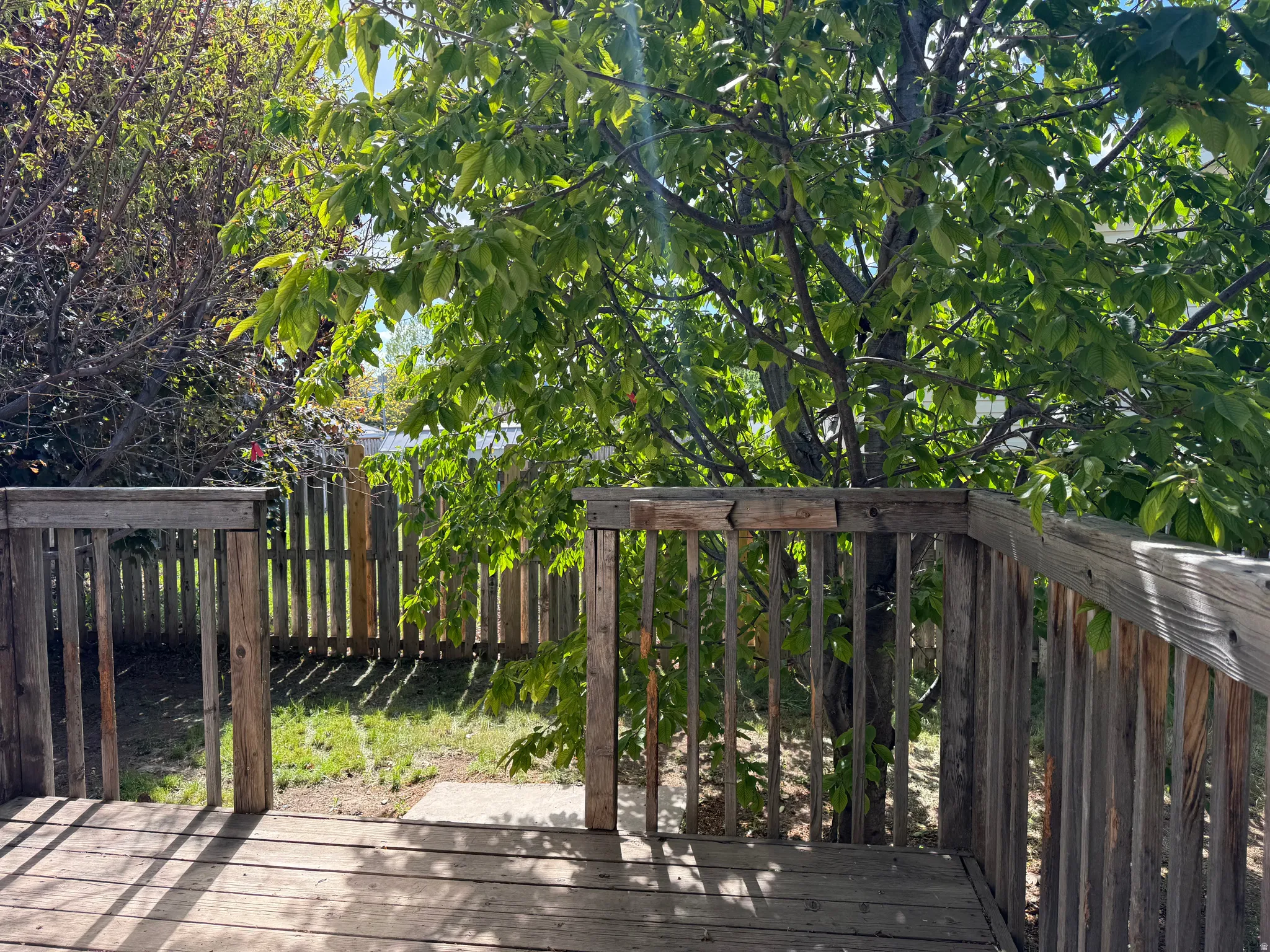 Outdoor deck featuring wood construction, leading to a fenced backyard with mature trees and a grass area