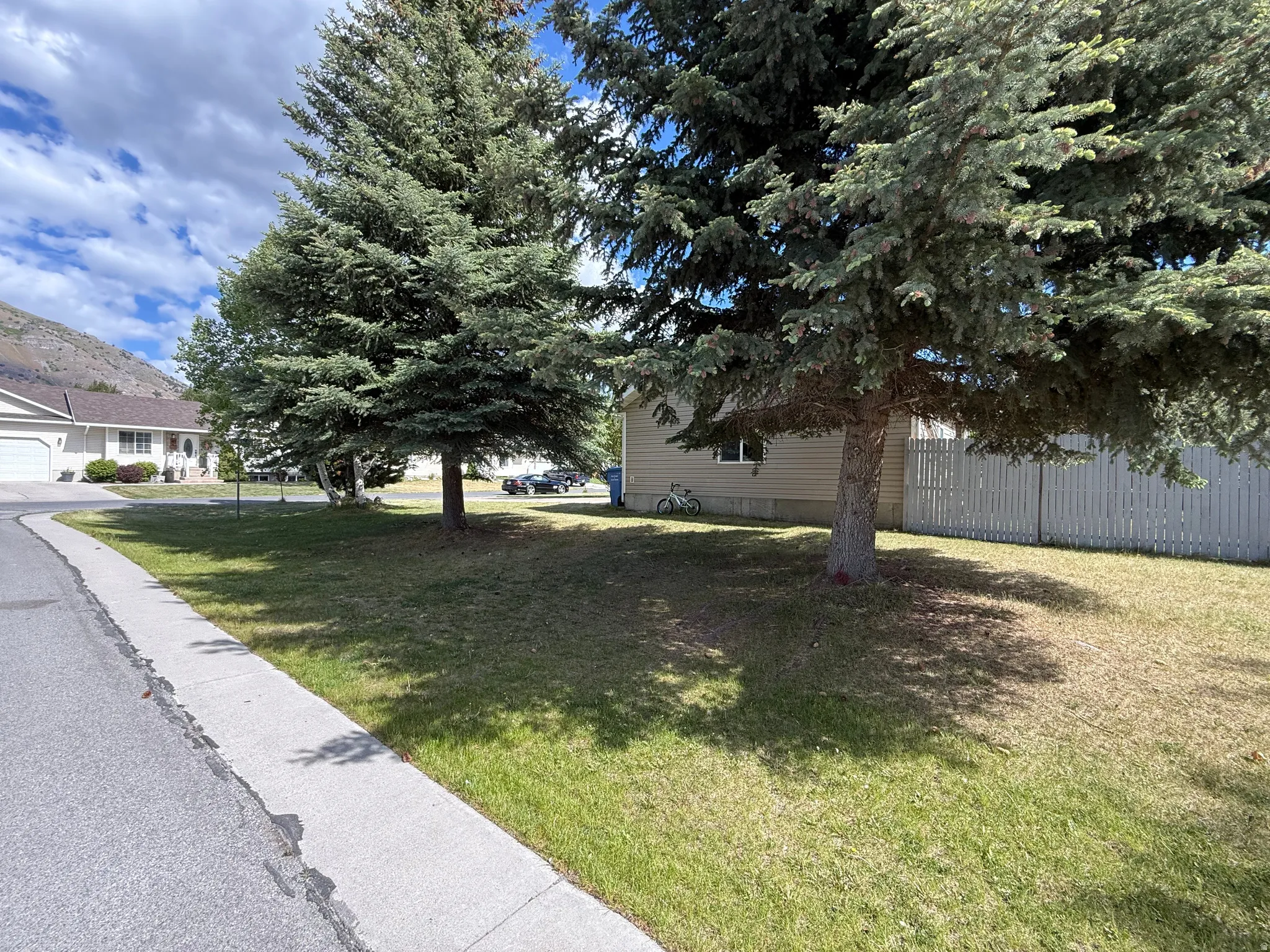 Manicured front yard with mature evergreen trees and a white privacy fence