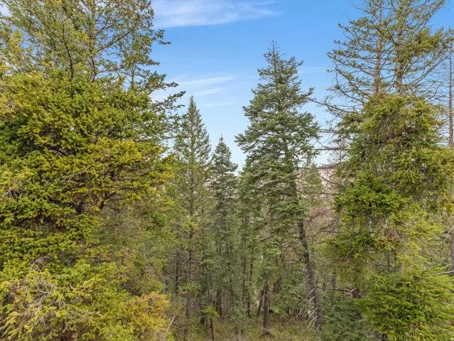 390 Matterhorn Dr, Park City, Utah 84098