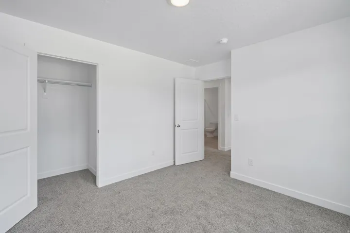 Plush gray carpeting with white walls, a built-in closet with hanging rod, and a white interior door