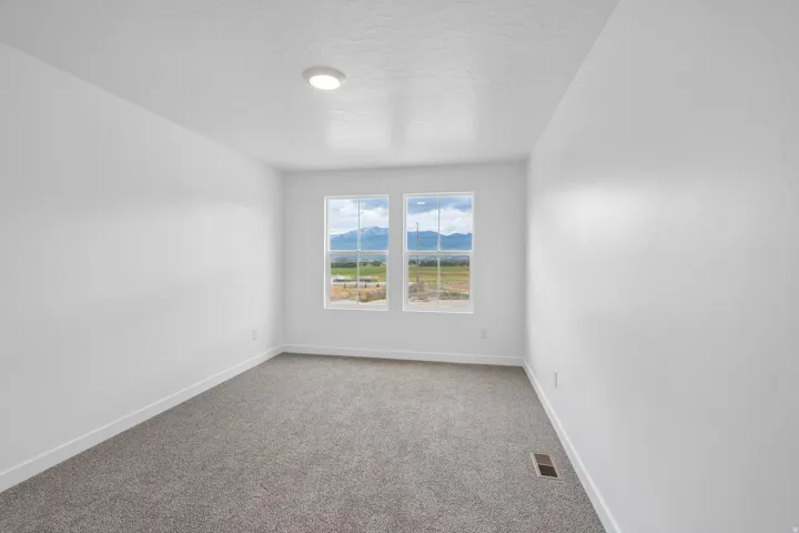 White walls with gray carpet and a mountain backdrop
