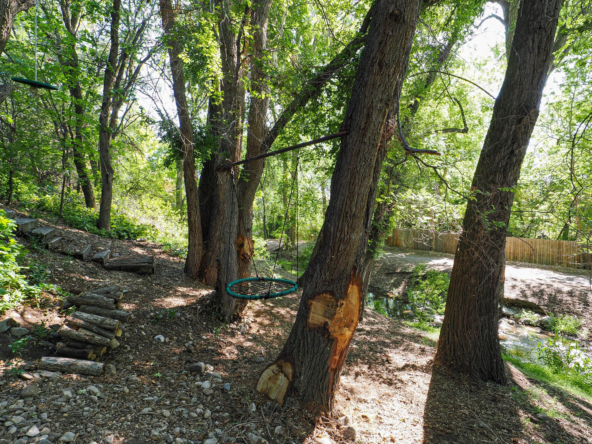 Wooded property featuring mature trees, natural ground cover, and a stream