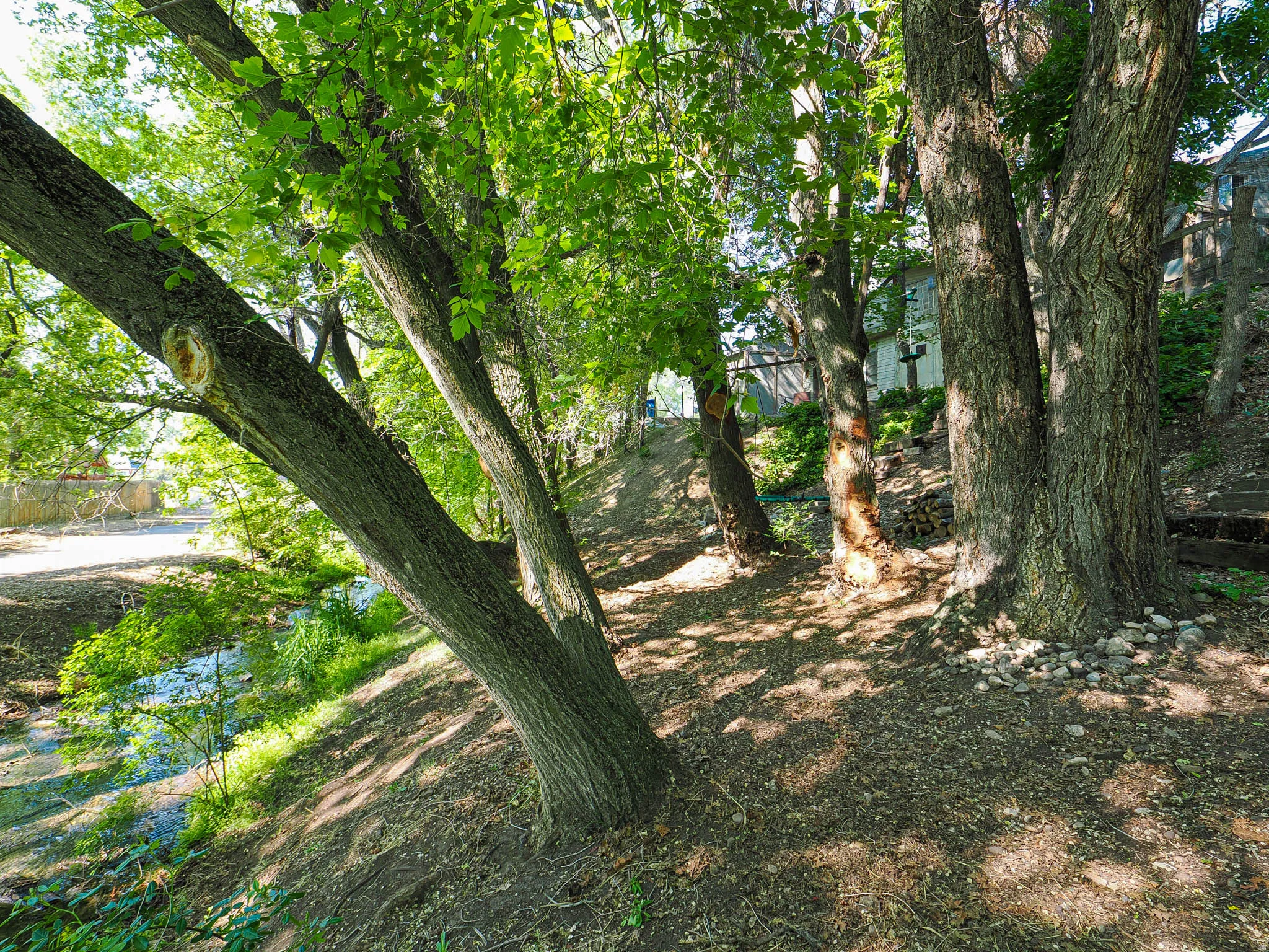 Mature trees providing ample shade, with a visible water feature and natural landscaping