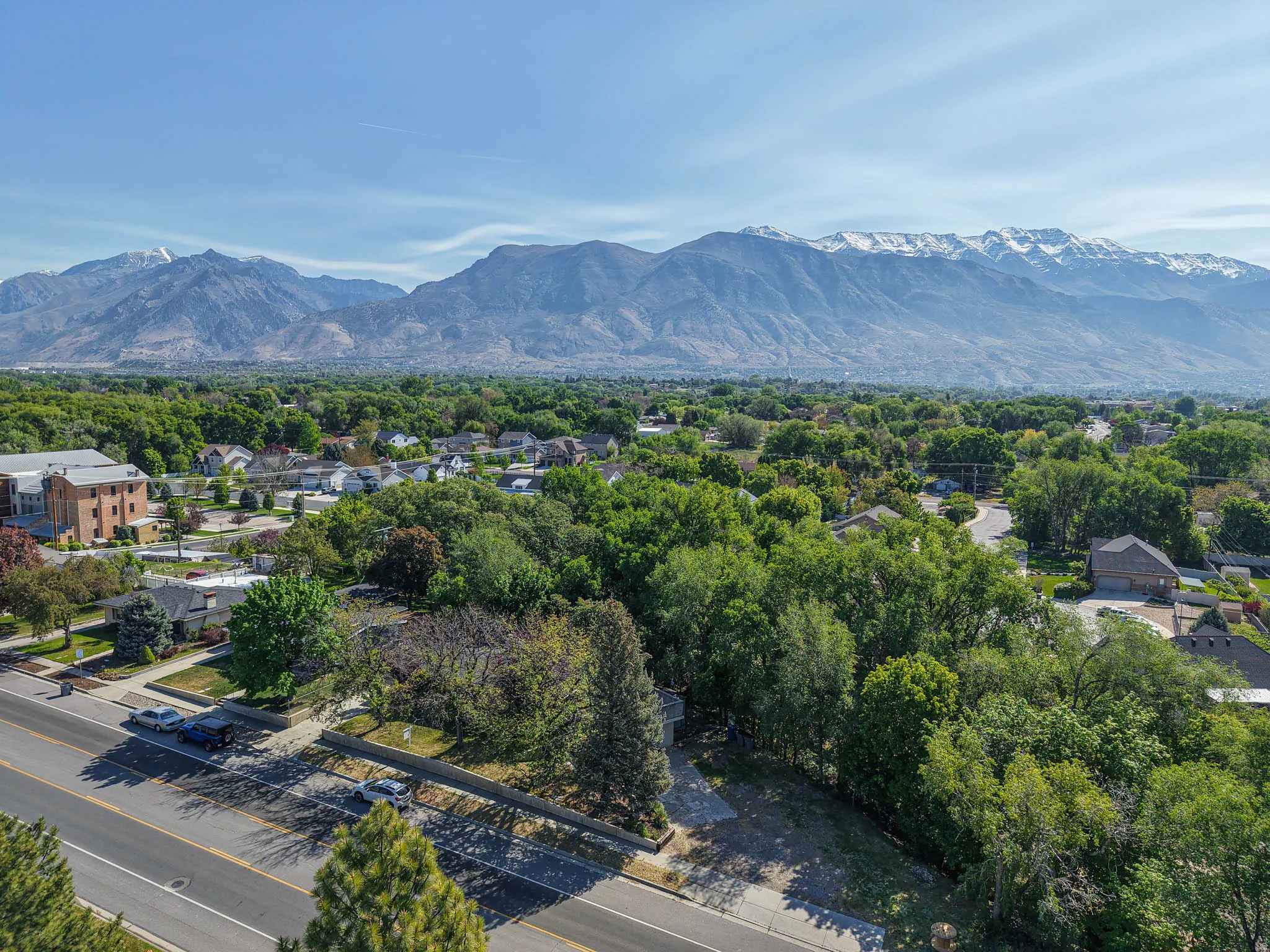 Expansive land parcel featuring mature trees, a paved road frontage, and a partially cleared section