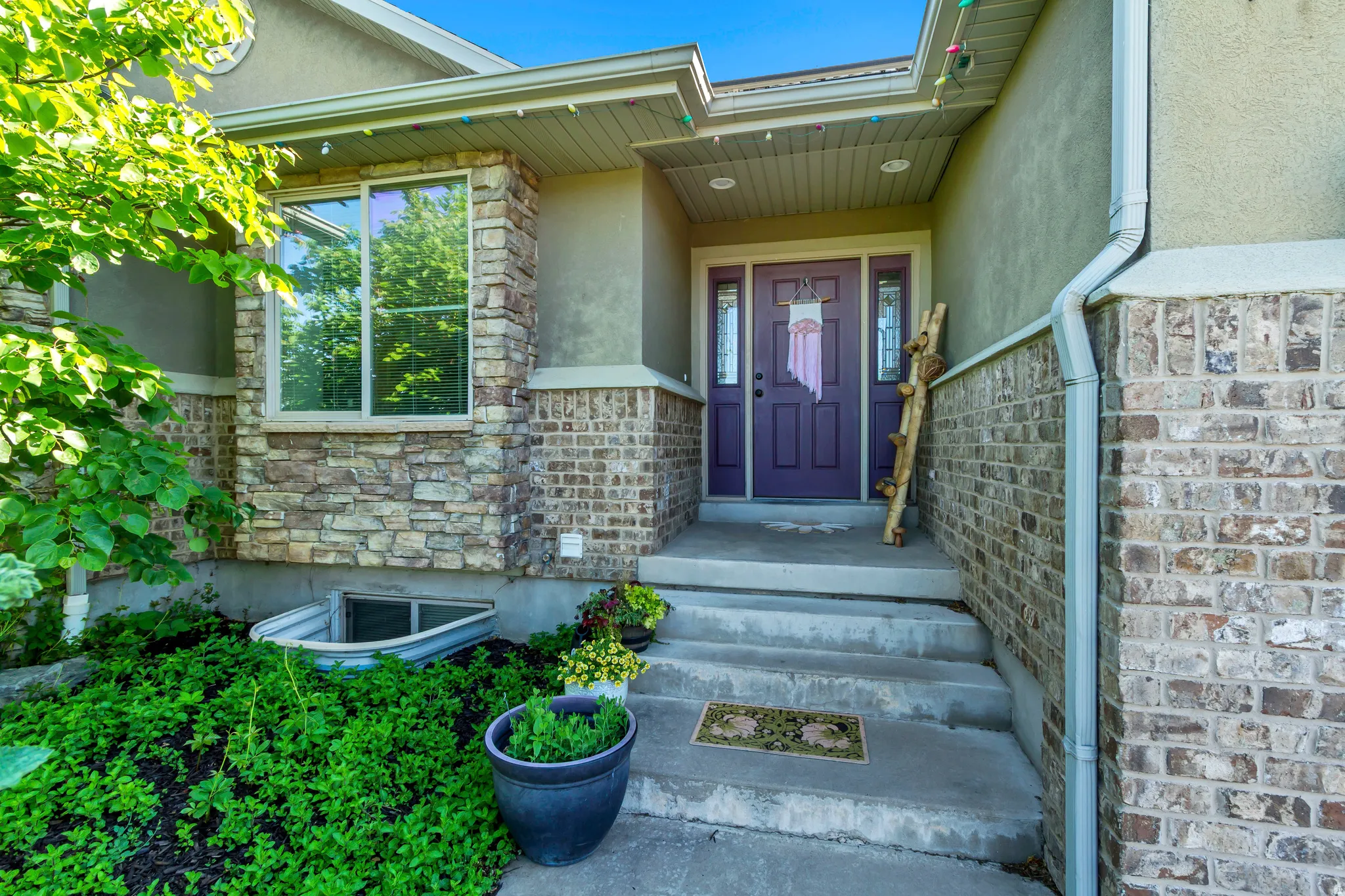 Front entrance featuring a purple door with sidelights, a window well, and a concrete stairway