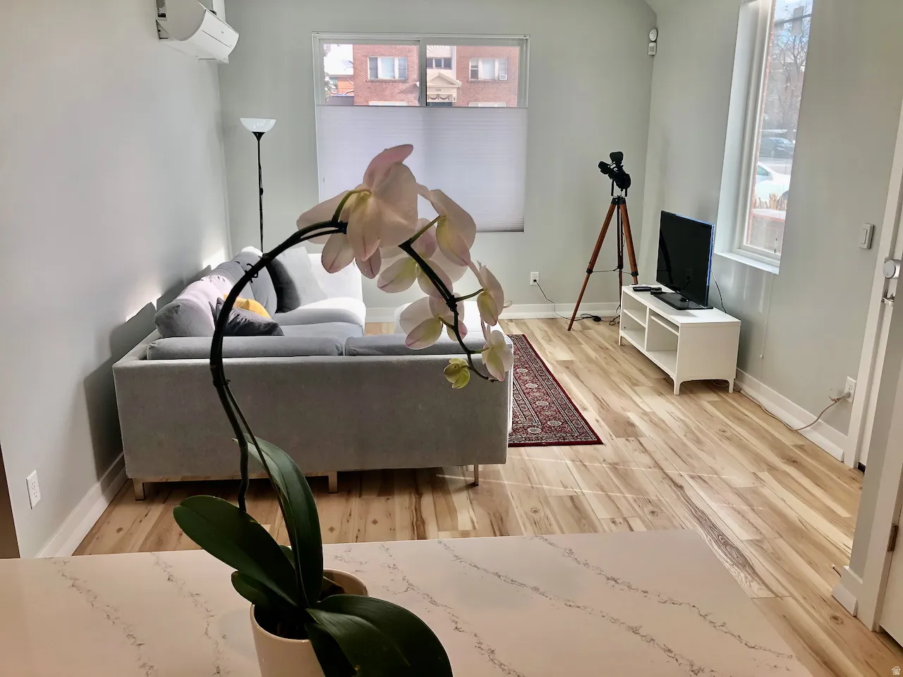 ADU/Mother-In-Law apartment - living area