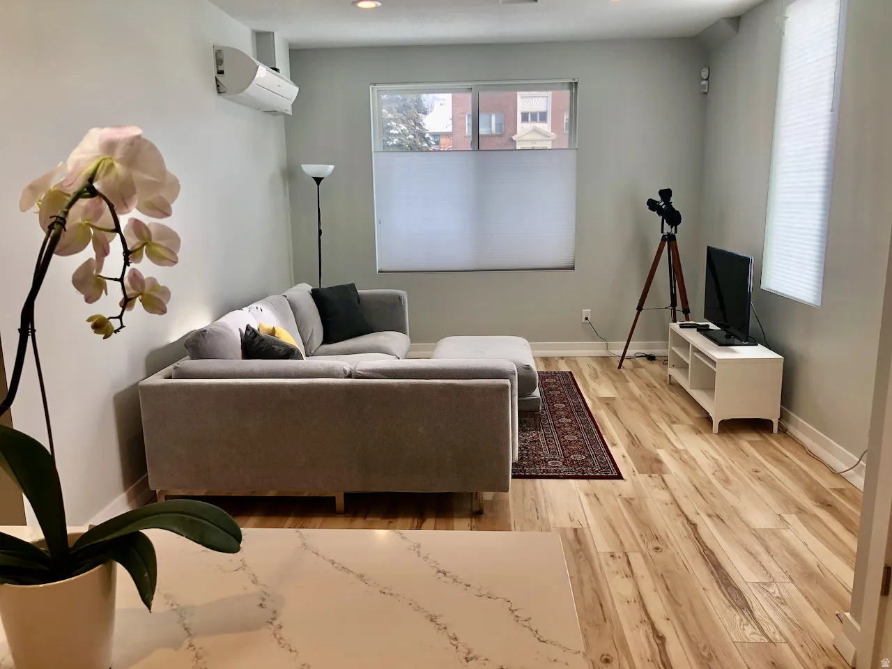 ADU/Mother-In-Law apartment - living area