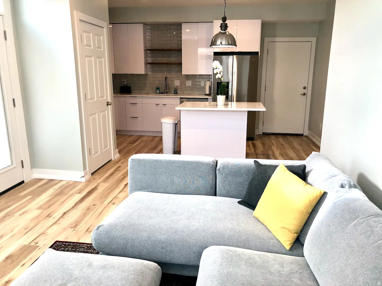 ADU/Mother-In-Law apartment - kitchen and living area