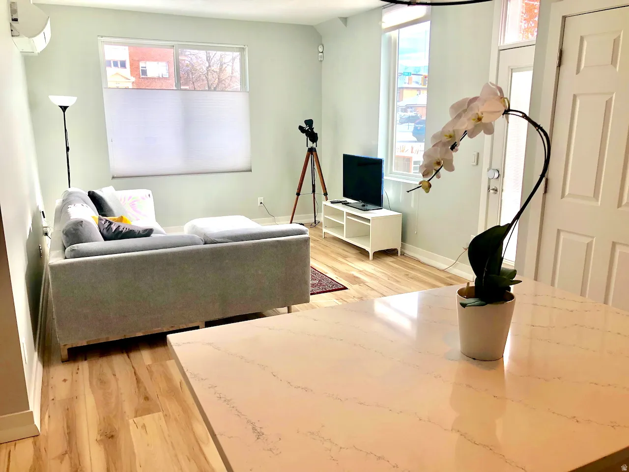 ADU/Mother-In-Law apartment - living area