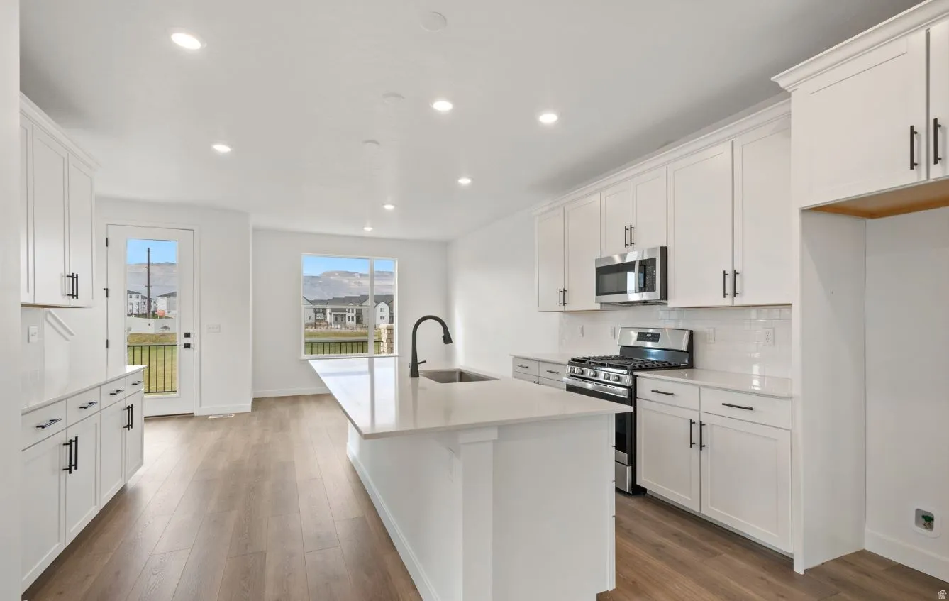 Contemporary kitchen featuring white cabinetry, a large central island with an undermount sink, stainless steel appliances, and wood-finish flooring