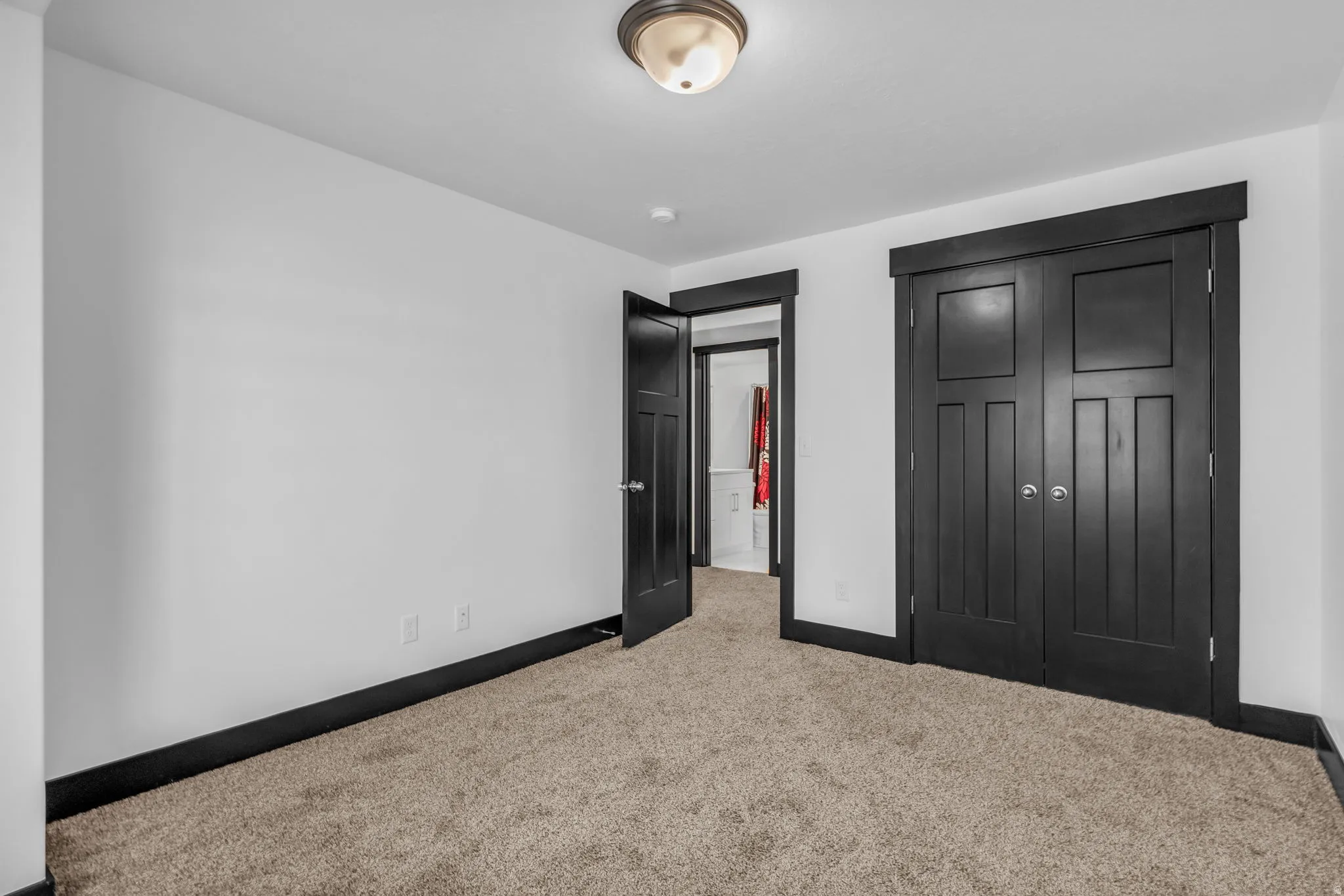 Room featuring plush carpet, white walls, and dark trim