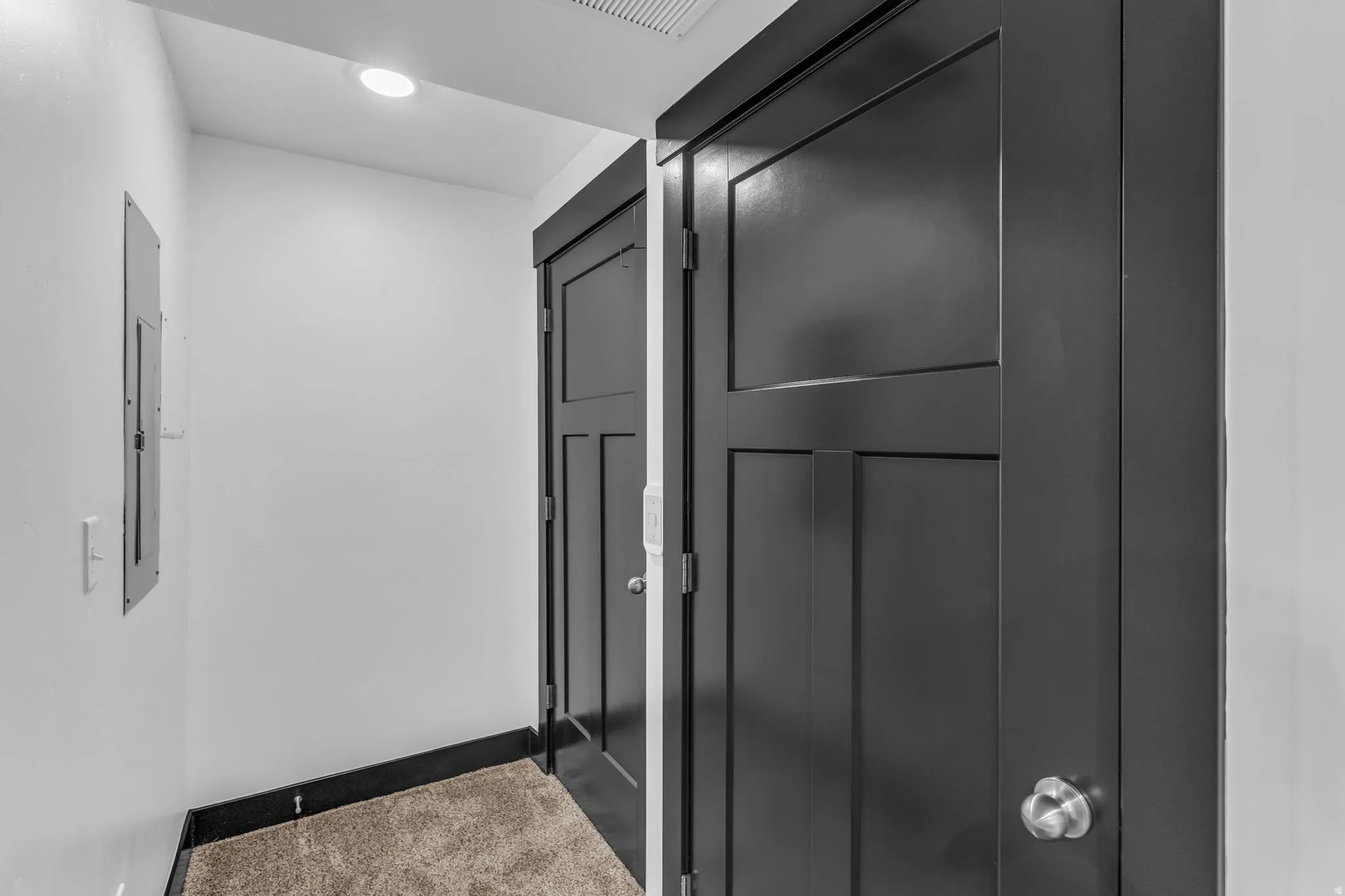 Interior hallway featuring dark panel doors, white walls, recessed ceiling lighting, and carpet flooring