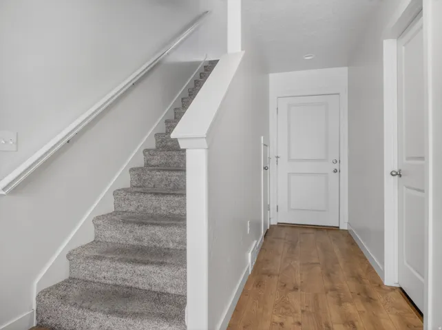Carpeted staircase with white balustrade, wood-finish flooring, white baseboards, and panel doors