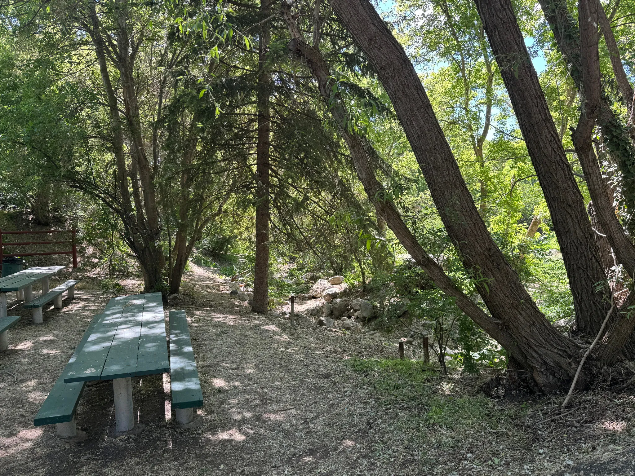 Oaklawn Park - Mature Trees, Creek Bed, & Lots of Picnic Tables for a Large Group