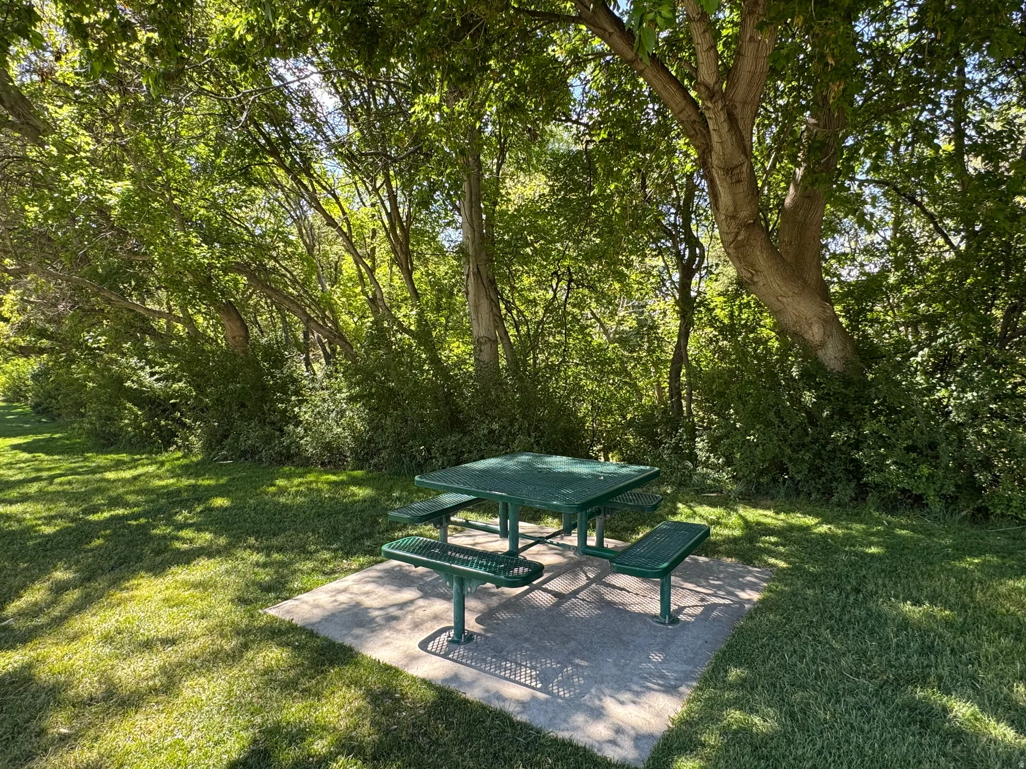 Oaklawn Park - Shaded Picnic Table