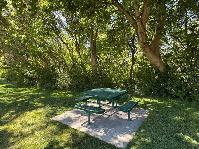 Oaklawn Park - Shaded Picnic Table