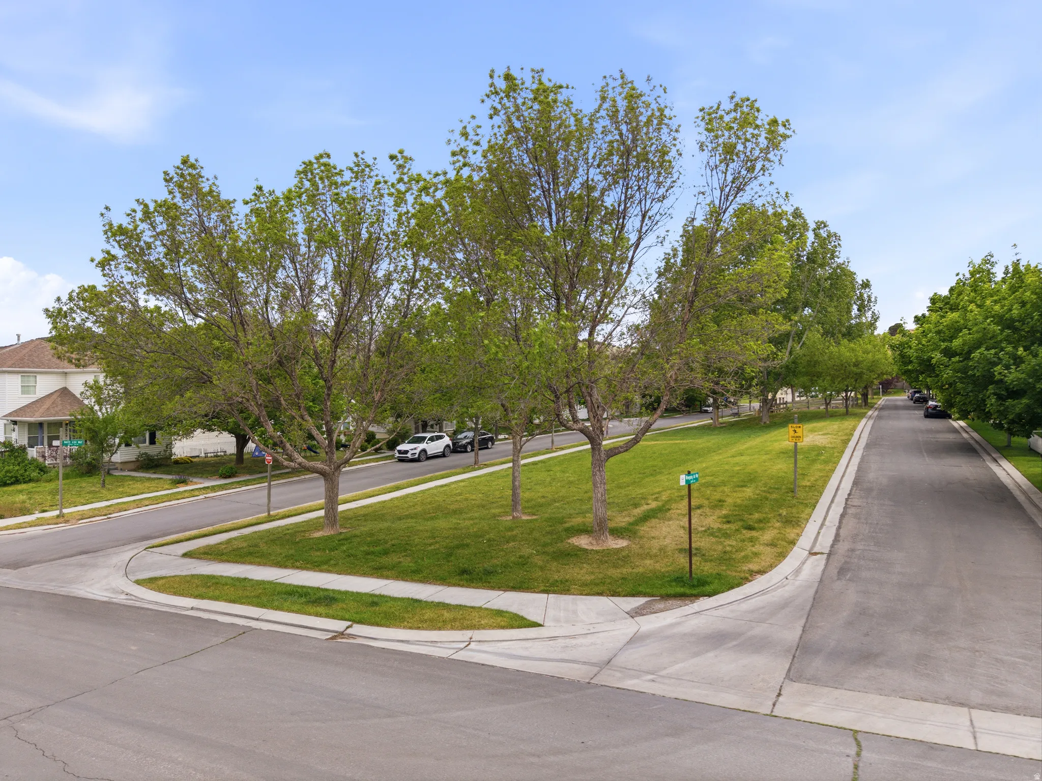 Neighborhood green space featuring mature trees and manicured lawns, bordered by sidewalks and paved streets