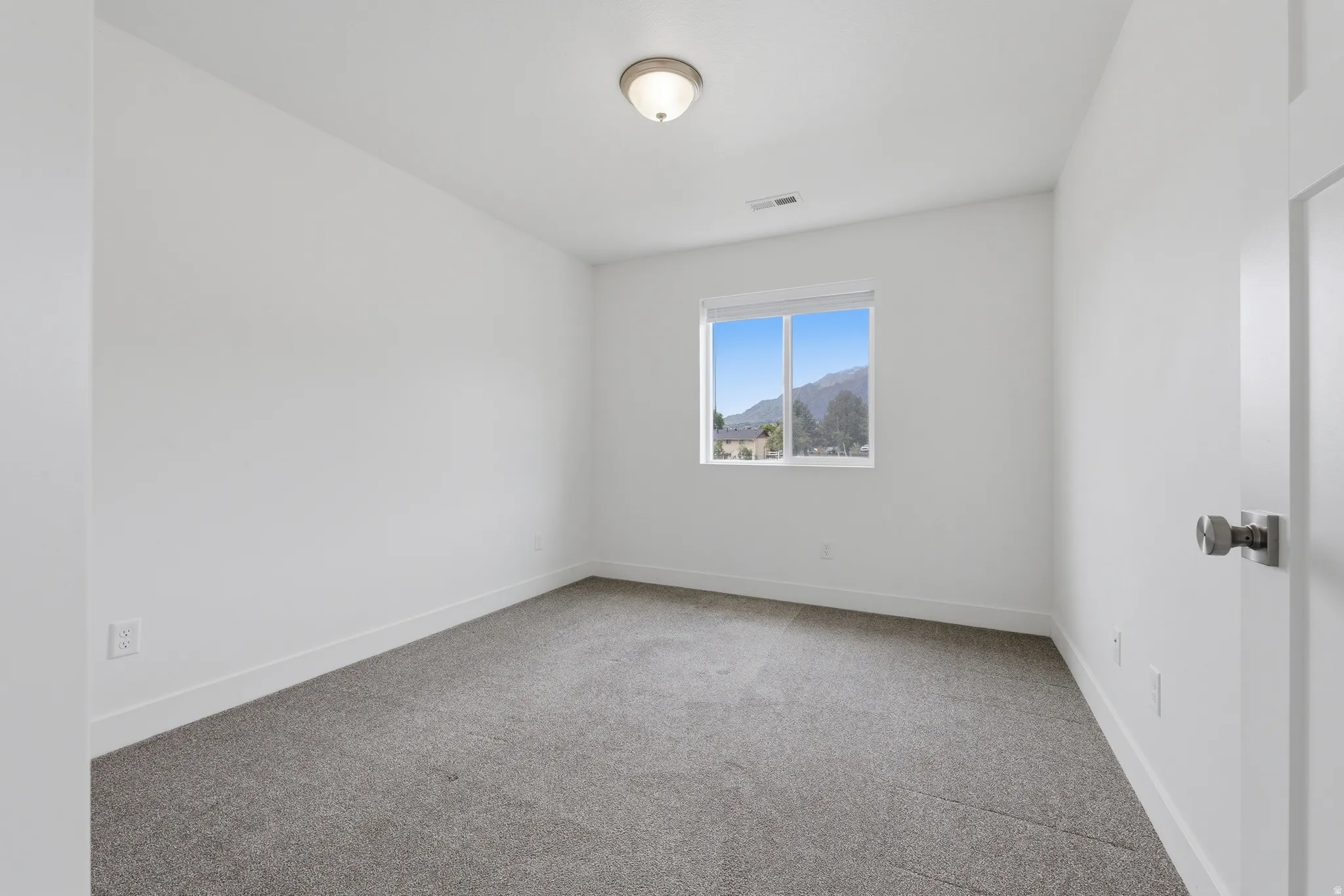 Carpeted room featuring a double-pane window, flush-mount ceiling light, white baseboards, and a white interior door with a silver knob