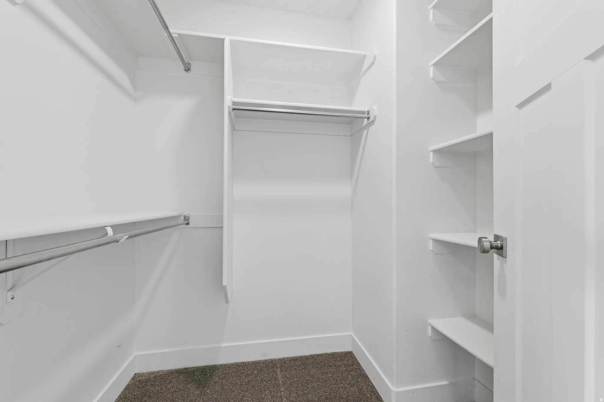 Walk-in closet featuring white walls, white shelving, metal hanging rods, and dark carpet flooring