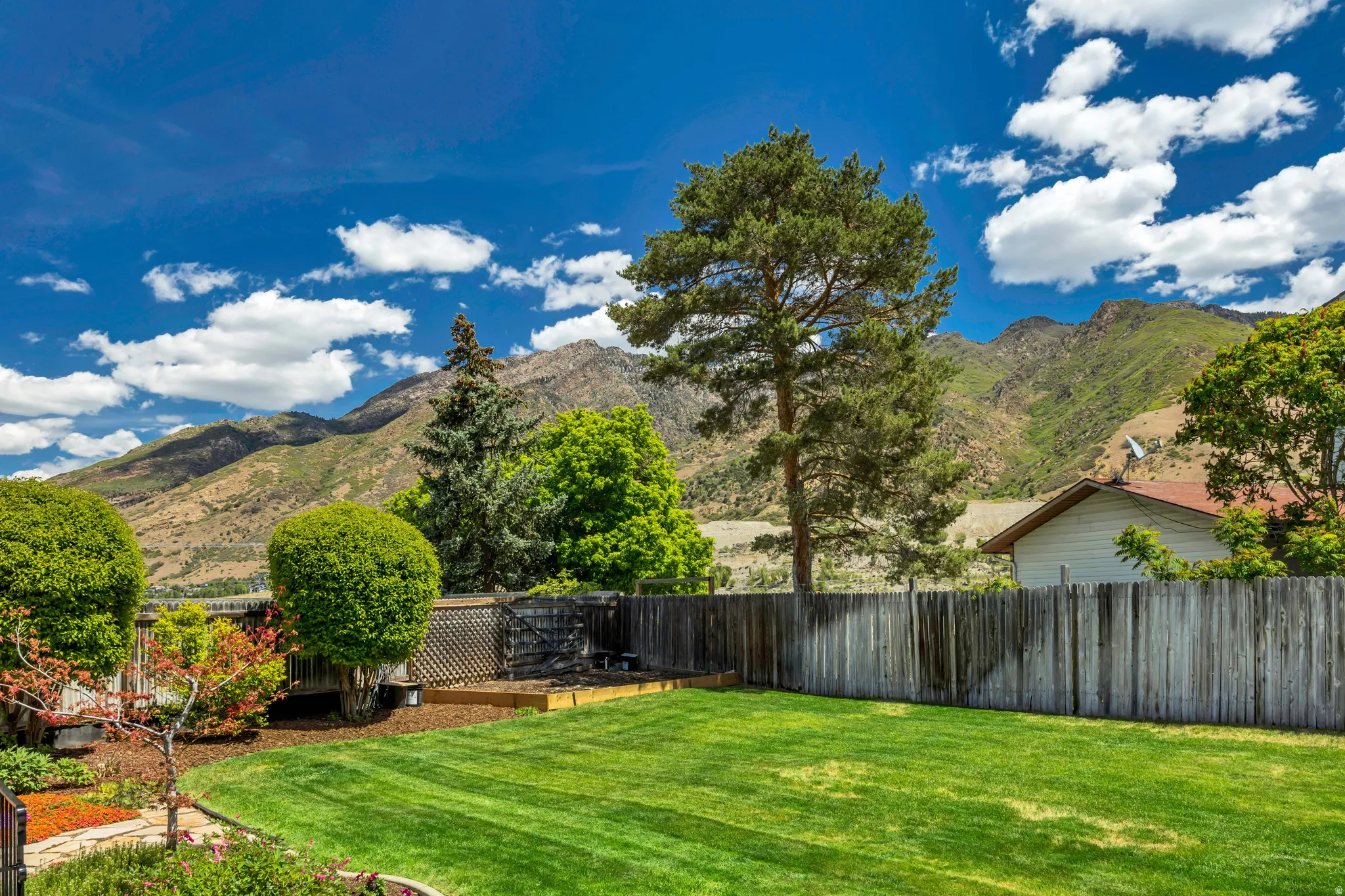 Expansive fenced backyard featuring a manicured lawn, established landscaping, and a mountain backdrop