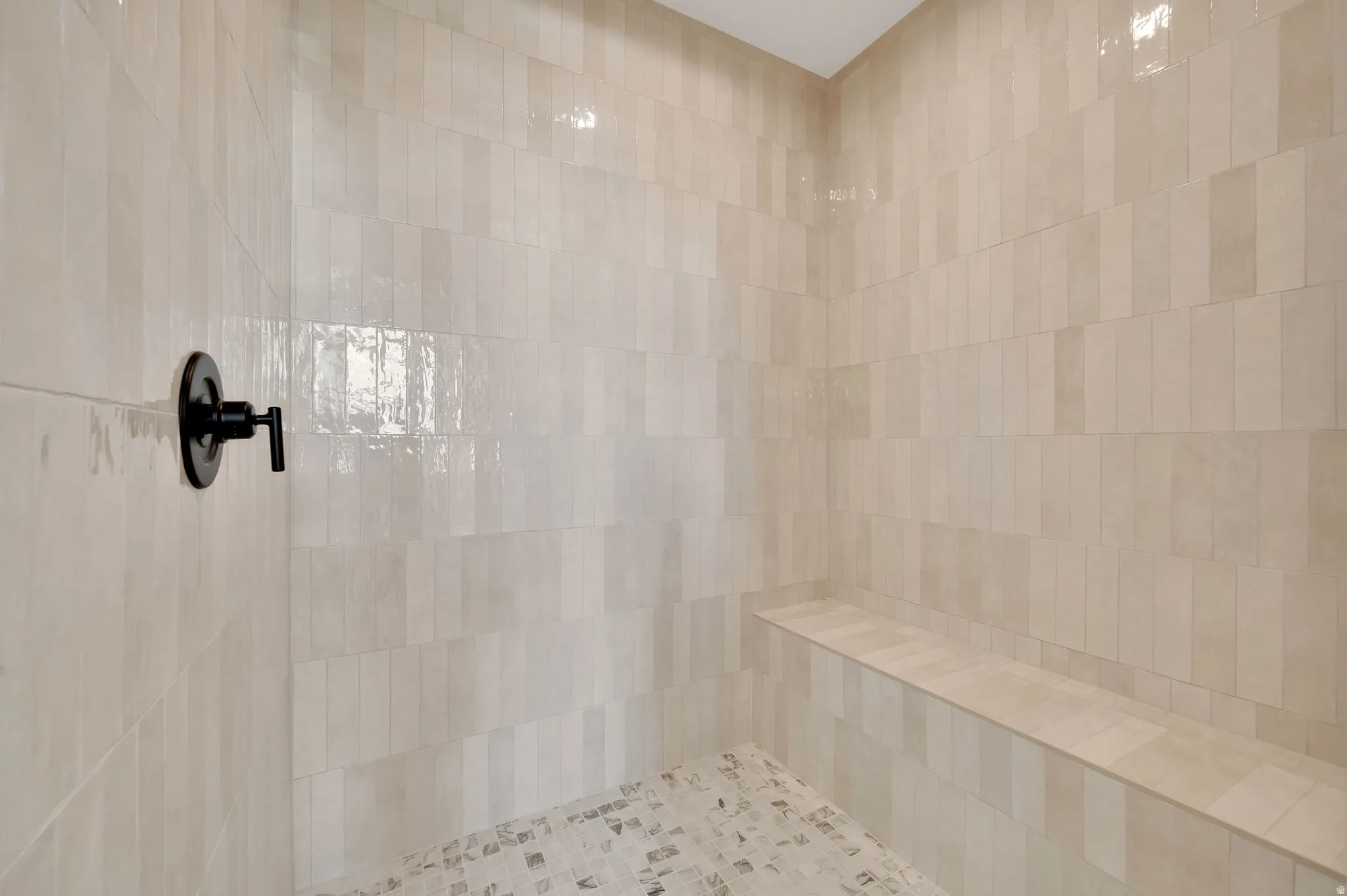 Primary Ensuite Shower