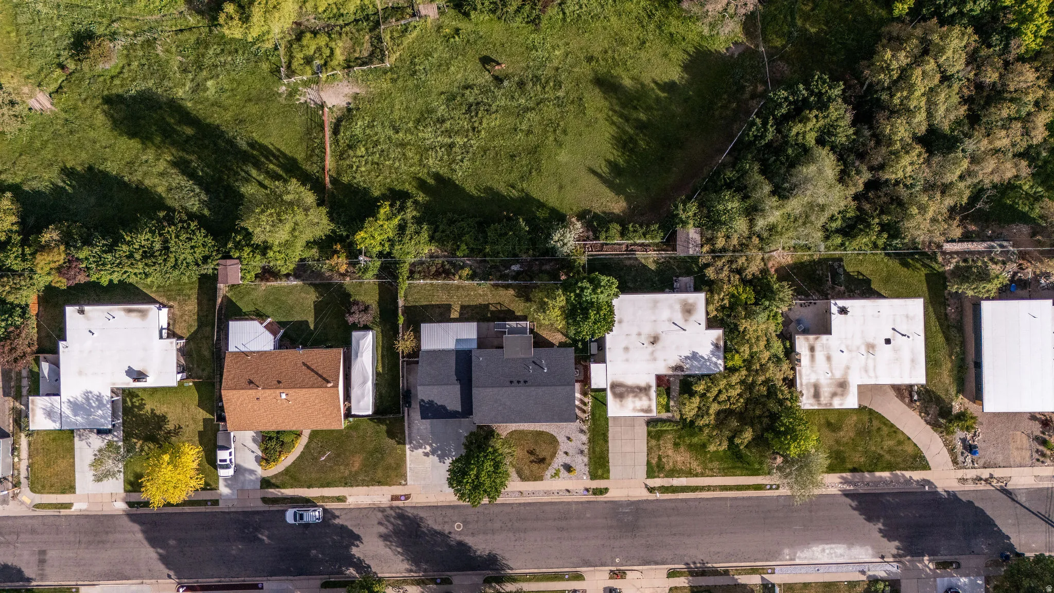 Birds eye view