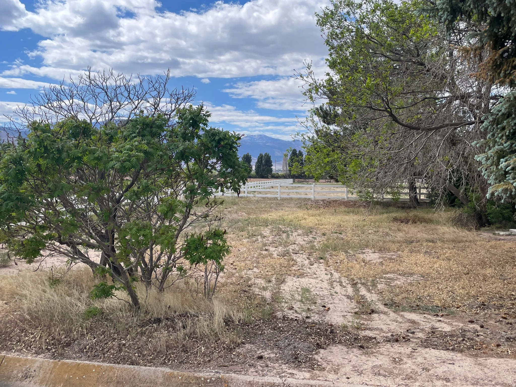 Expansive open lot featuring mature trees and a distant mountain range under a cloudy sky