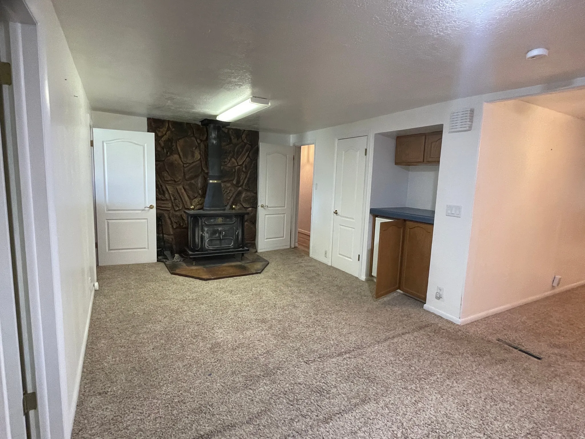 Library featuring a stone accent wall with a wood-burning stove, light-toned carpeting, and multiple paneled doors one housing a bar fridge