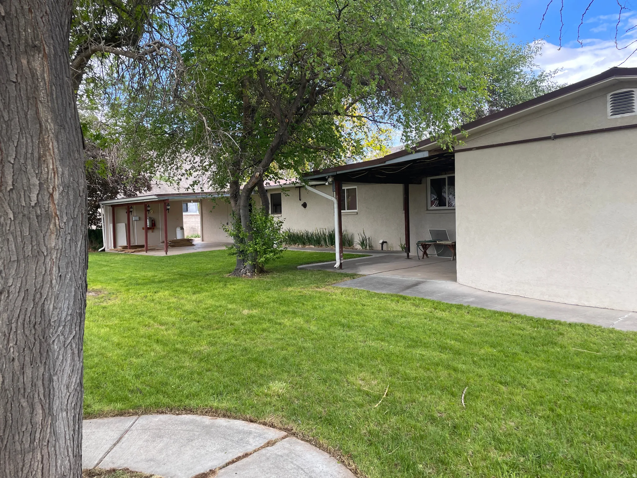 Expansive lawn area with mature trees and concrete pathways