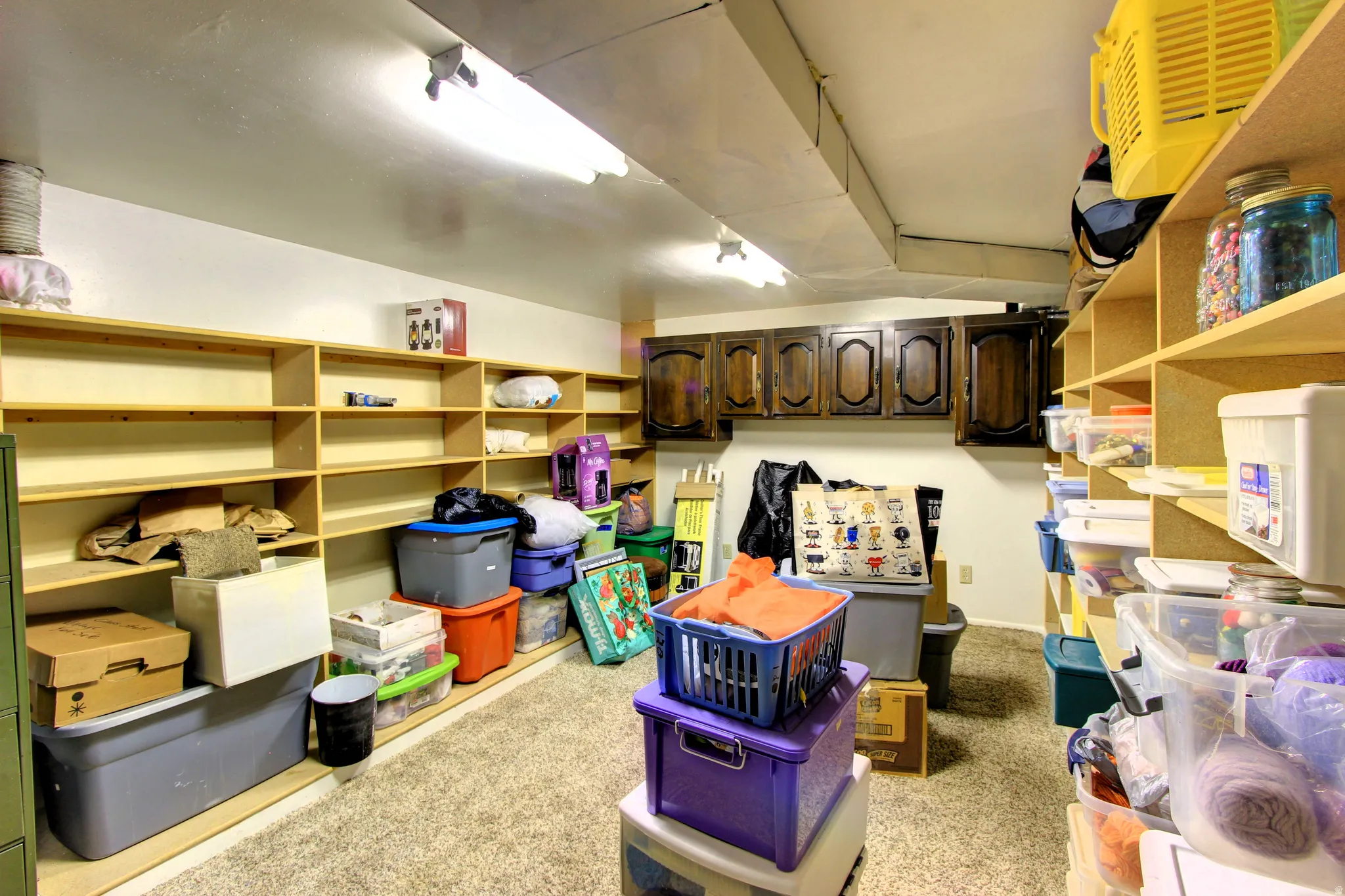 Dedicated storage room featuring extensive built-in shelving, overhead fluorescent lighting, a textured carpeted floor, and dark wood-finish cabinetry